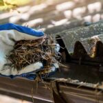 The Real Benefits of Professional Gutter Cleaning (And Why You Shouldn’t Skip It)
